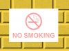  No Smoking Signs (pk 10)  