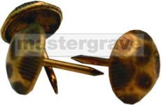 Patterned Brass Plaque Pins for Professional Fxings 